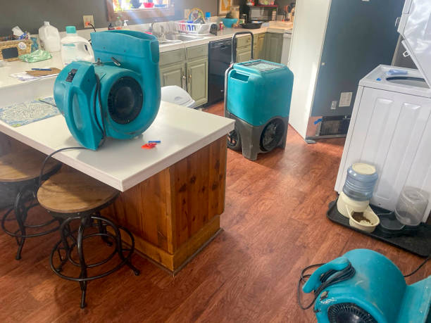 Professional Water damage restoration in DE