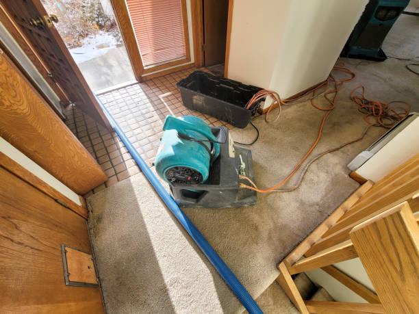Best 24/7 water damage repair  in St Georges, DE