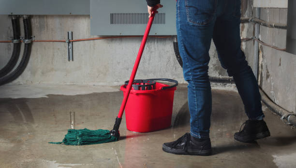  St Georges, DE Water damage restoration Pros