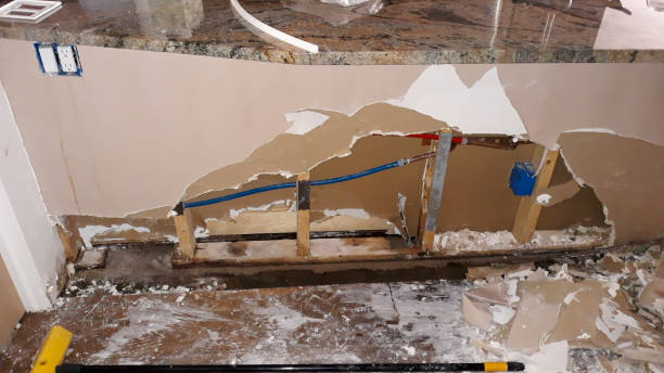 Best Mold removal after water damage  in St Georges, DE