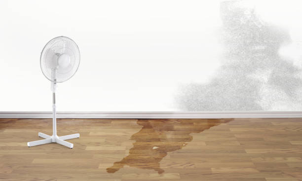Best Water damage cleanup near me  in St Georges, DE