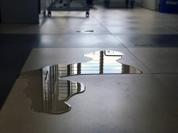 Best Commercial water damage restoration  in St Georges, DE