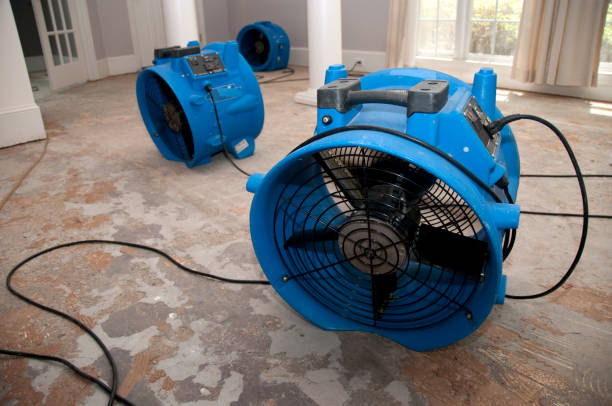 Best Water damage restoration cost  in St Georges, DE