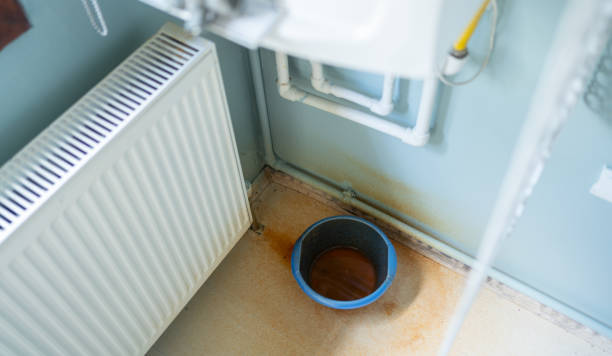 Best Sewage cleanup and water damage restoration  in St Georges, DE