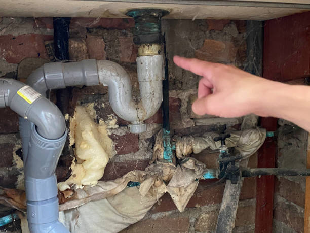 Water damage restoration experts in DE