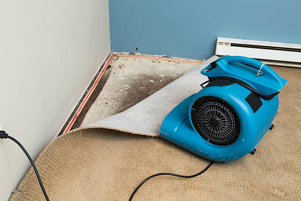Best Water damage restoration specialists  in St Georges, DE